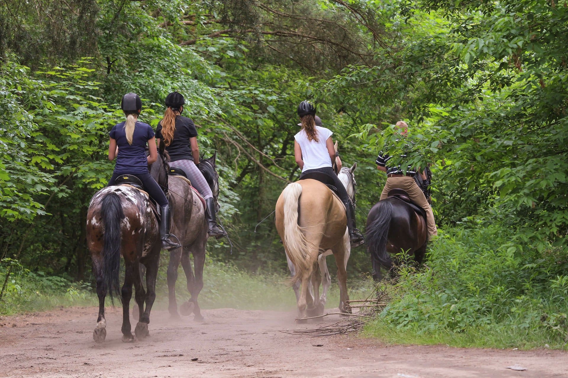 people horseback riding