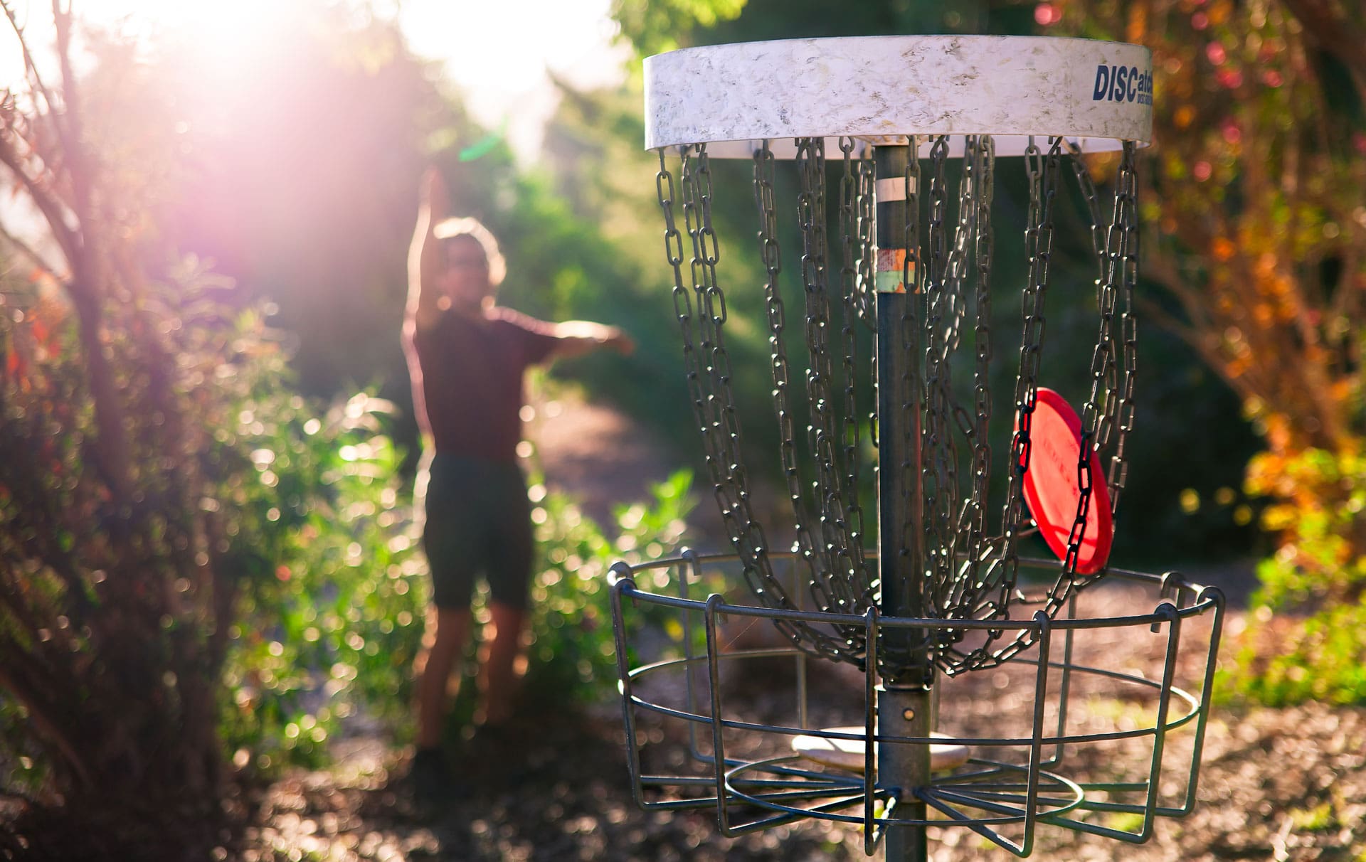 person playing disc golf