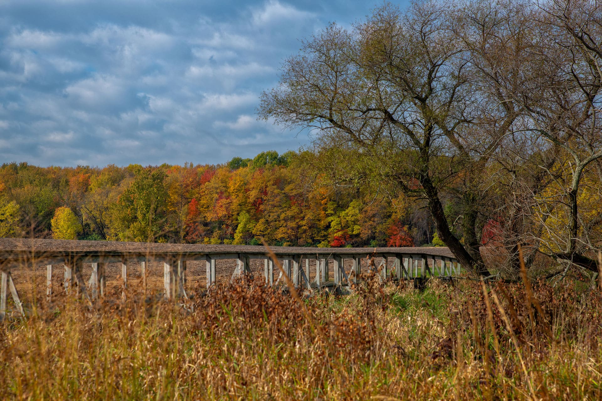bridge in fall scenery