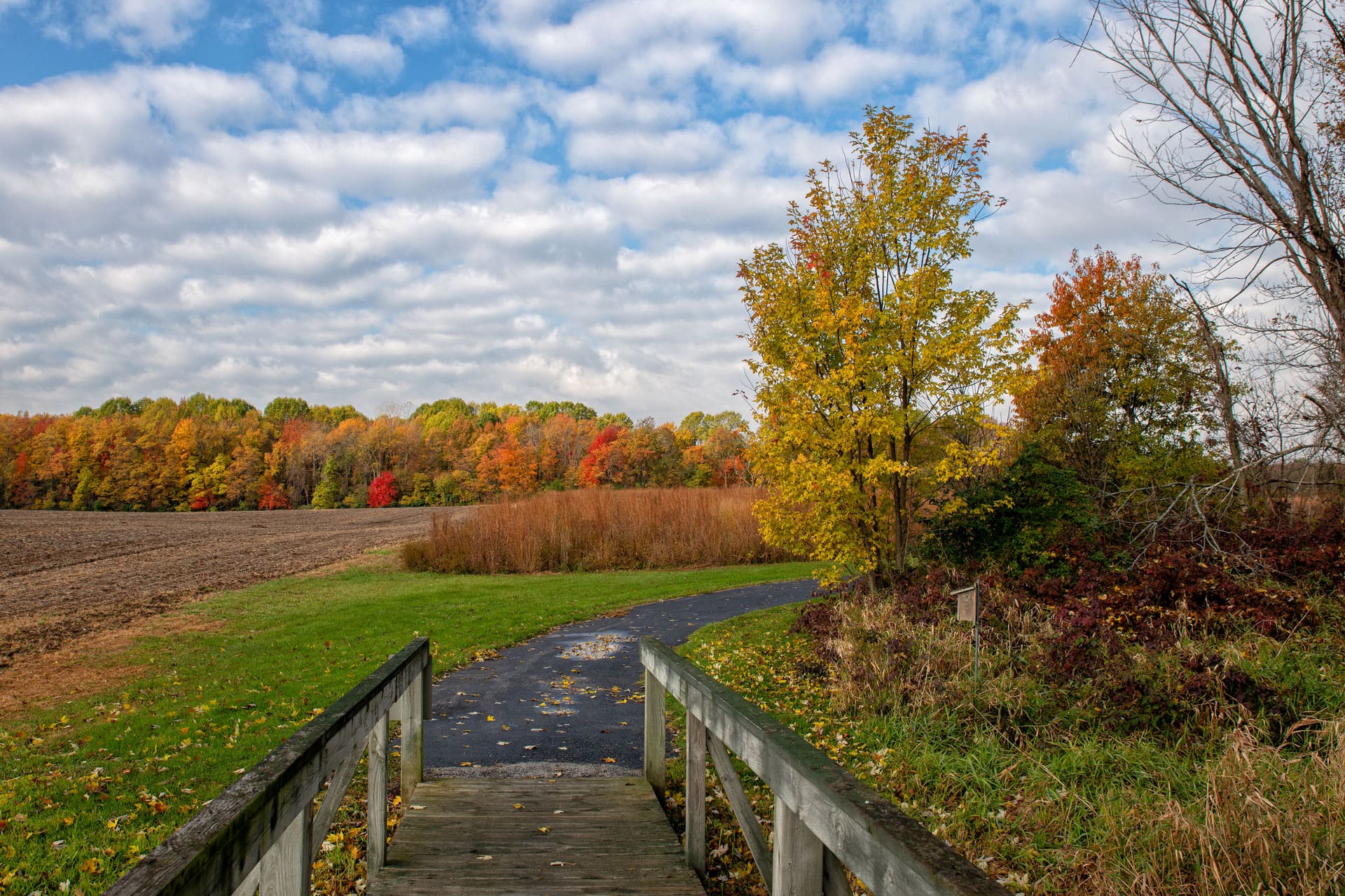 walking trail during the fall