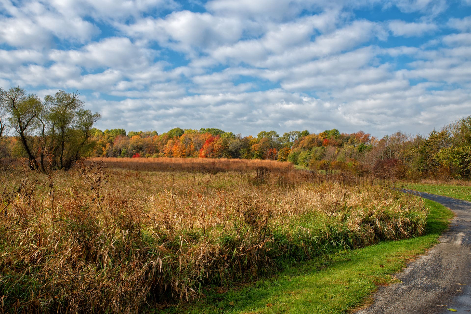 view from walking trail during fall