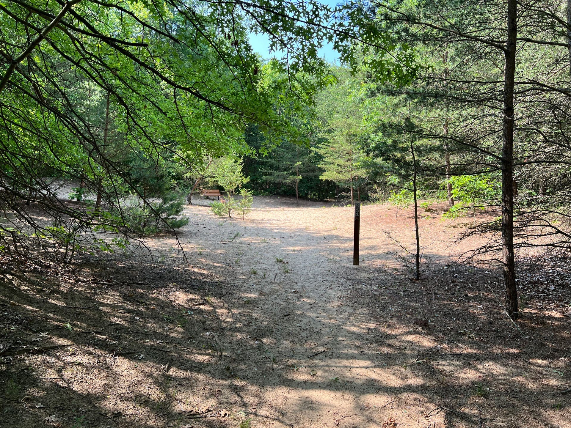 hiking trail at park